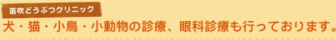 犬・猫・小鳥・小動物の診療、眼科診療も行っております