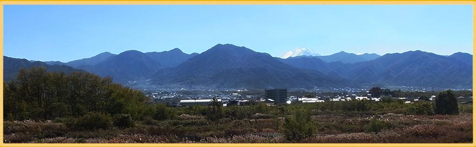 笛吹どうぶつクリニック ホーム